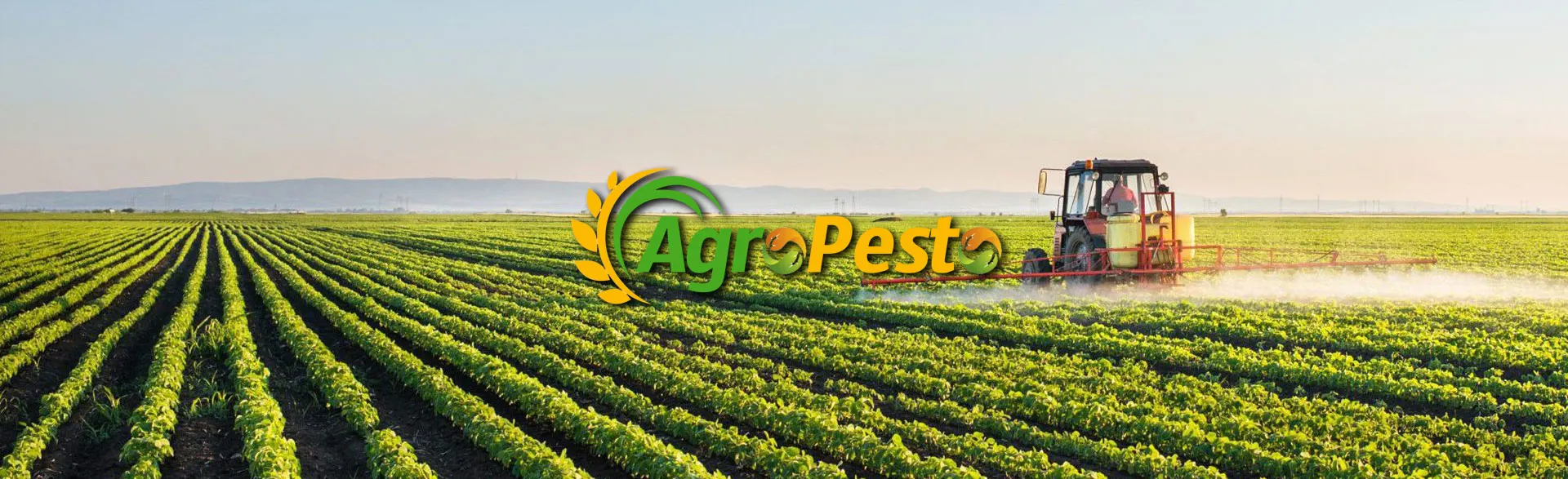 Agro Pesto large scale farming