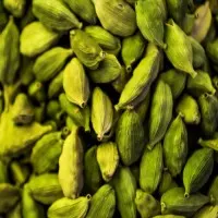 AgroPesto Green Medium Cardamom