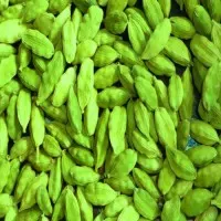 AgroPesto Green Small Cardamom