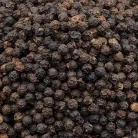 AgroPesto Black Pepper