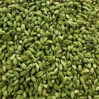 AgroPesto Green Mix Cardamom
